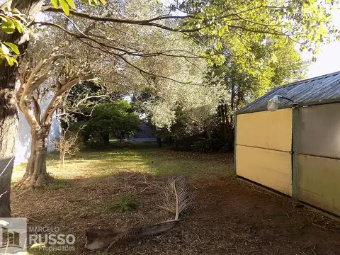 Alberto Williams 1569