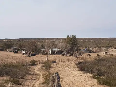 CAMPO PARA CRIA Y RECRIA