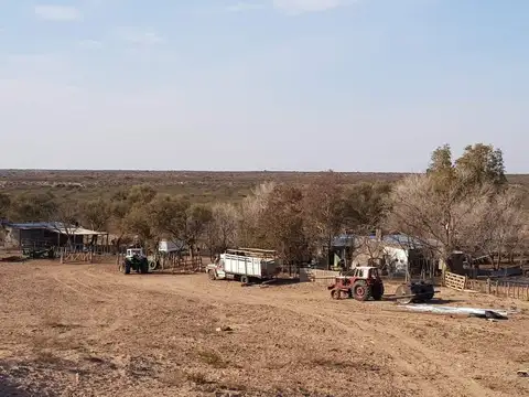 CAMPO PARA CRIA Y RECRIA