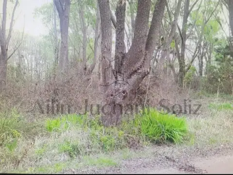 Terreno en Venta de 555,0 m2