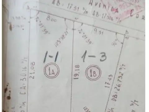 Terreno en Venta 30,20  mts Frente