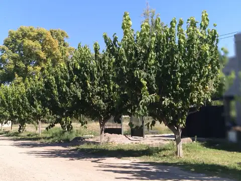 Terreno en Venta de 750,0 m2