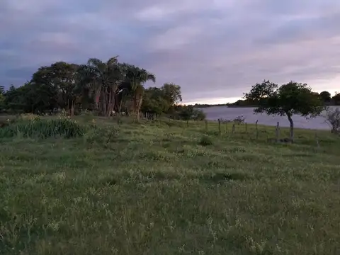 Terreno en Venta de 4500,0 m2