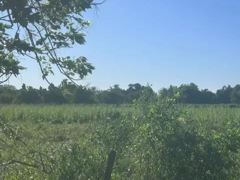 Campo Escobar. Cod:11248