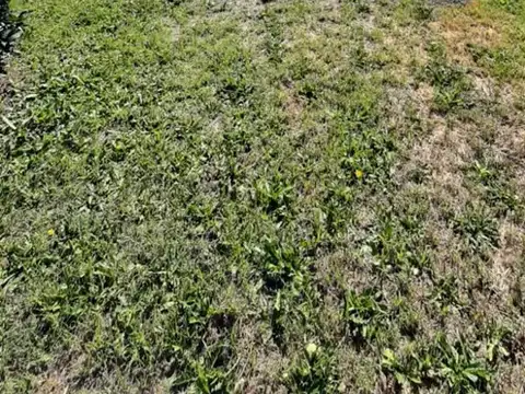 Casa  en Venta en Roque Perez