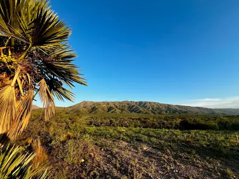 VENTA DE LOTE 408.000M2/ 50HAS  Papagayos