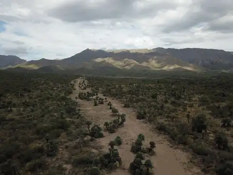 Terreno en Venta de 408000,0 m2