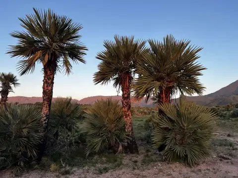 Terreno en Venta en Papagayos, USD 450.000