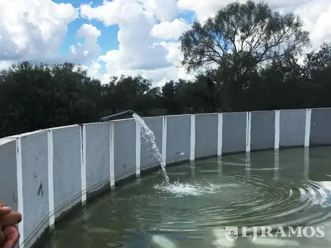 2500 ha ganaderas, con silvopastoril y estructura armada. Taco Pozo, Chaco