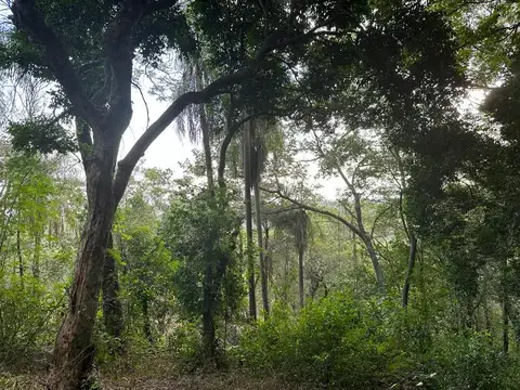 Terreno en Venta en Otras Localidades Paraguay, USD 539.000