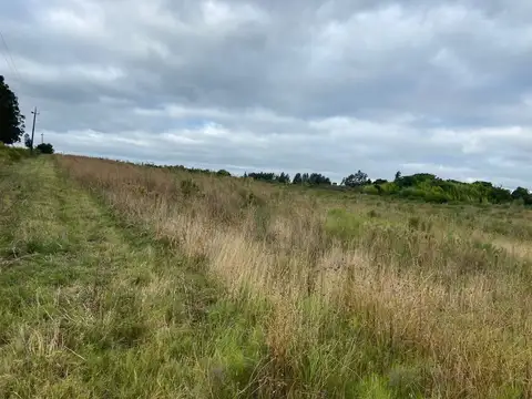 Camino Cuatro Piedras Doctor Hector Secchi