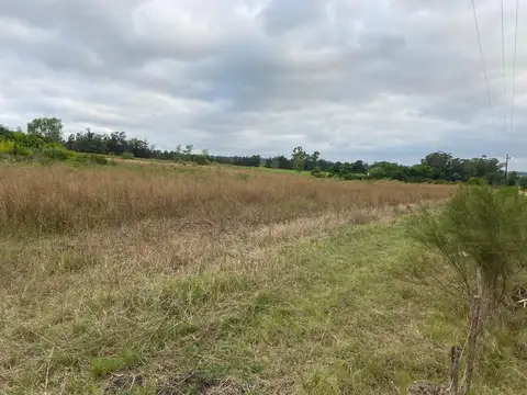 Venta de terreno KM 32 Progreso 3HA