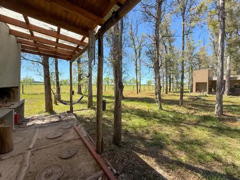 Campo Timbo - Oliveros- Lote D58