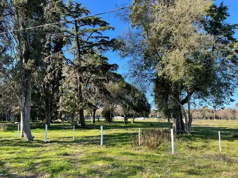 Felix de Azara al 8200