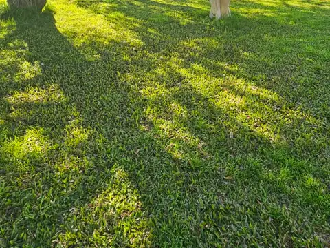 Casa en Venta en Concepcion Del Uruguay, USD 90.000