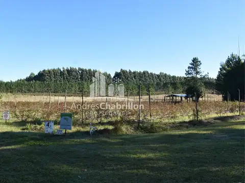 Excelente propiedad con gran potencial productivo y residencial