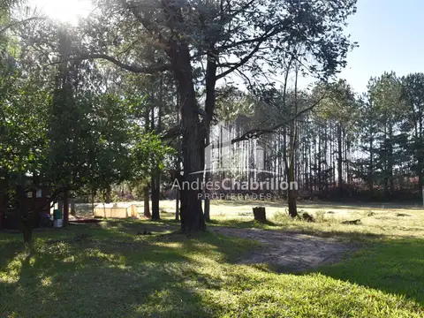 Galpon en Venta en Concordia, USD 70.000