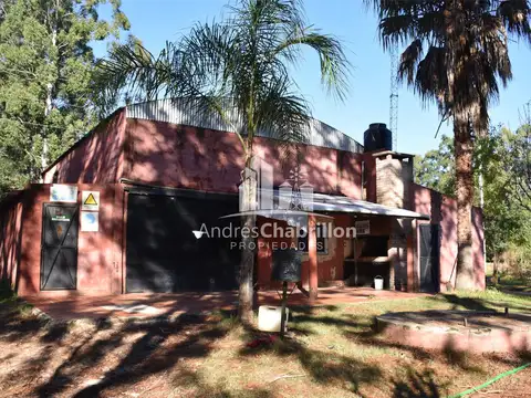 Hermana Clara y Virgen de Fátima 100