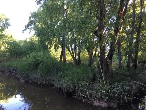 Terreno en Venta en Tigre Centro, USD 30.000