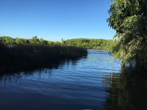 rio parana de las palmas