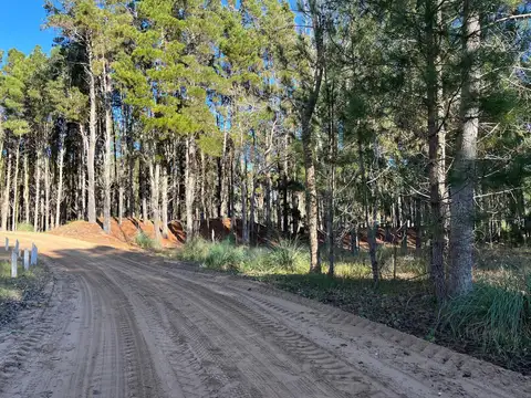 Terreno en venta - 955.93mts2 - Villa Robles, Pinamar