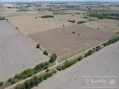 Carlos Keen 50 has deal Turismo y /o Producción- Caballos o Cria.