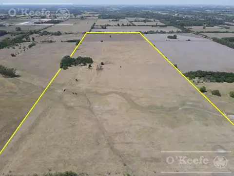 Campo en Venta de 50 has en Carlos Keen - A 1 hora de CABA