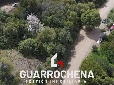 Terreno / Lote en venta de 1500m2 ubicado en San Martin de los Andes