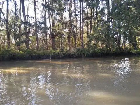 Rio / Arroyo Carapachay Km. 15 Donofrio 100