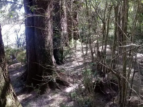 Terreno en Venta de 10000,0 m2