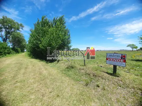 Pejerrey entre Pingúino y Lobo