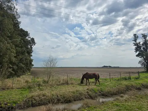 Zona Rural. Victor Manuel