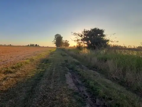 CAMPO 9 HA. EN RAMALLO