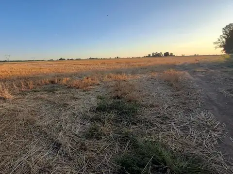 CAMPO 9 HA. EN RAMALLO