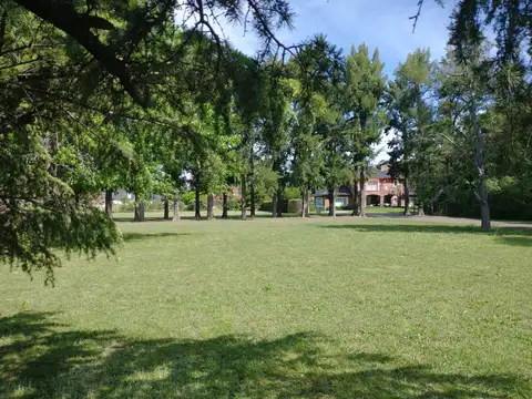 Terreno en Venta 40  mts Fondo