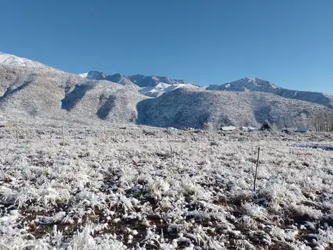 Terreno en Venta de 2000,0 m2