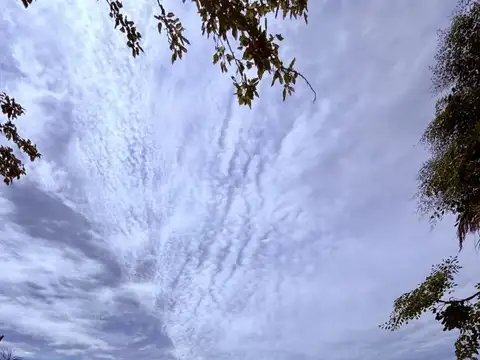 Calle n° 22 lote 678