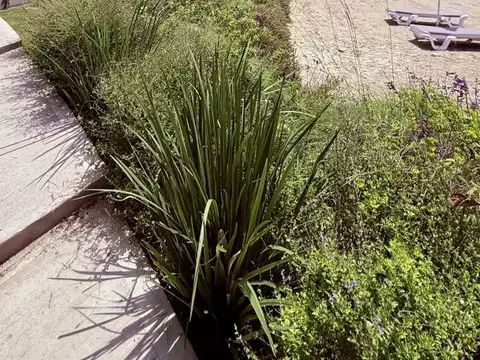 Terreno en Venta en Vida Lagoon, USD 130.000