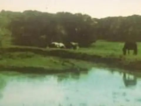 Campo en Venta Chacra