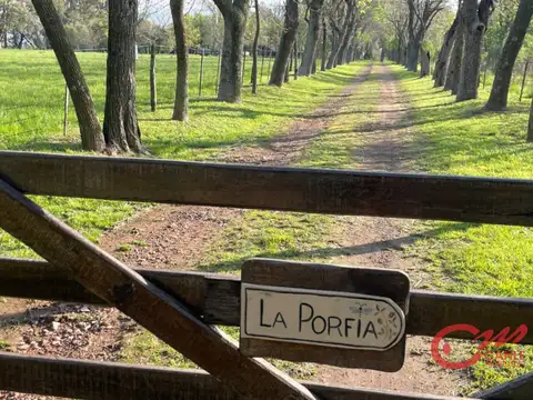 Andres Chazarreta 800, Zelaya, Provincia de Buenos Aires, 100