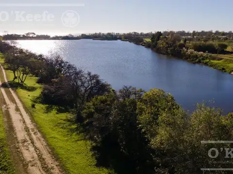 Terreno en Venta de 985,0 m2