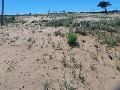 Terreno en Venta en Pehuen Co, USD 16.000