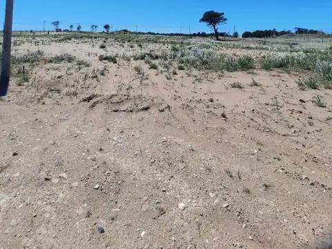 TERRENO EN VENTA PEHUEN CÓ