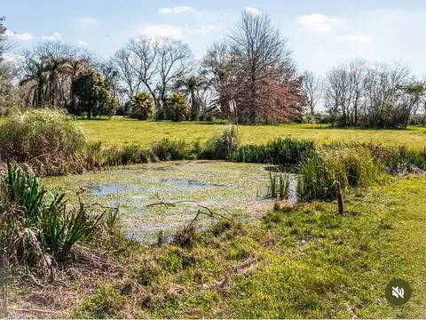 VENTA CASA EN CHACRA, PUERTO PANAL, ZÁRATE