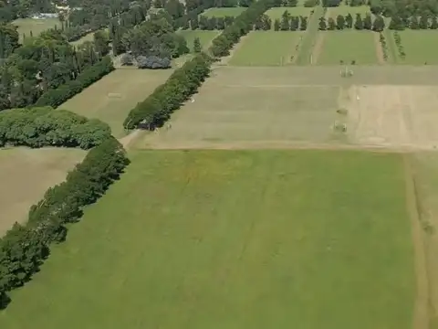 VENTA DE TERRENO EN LOS MOLINOS