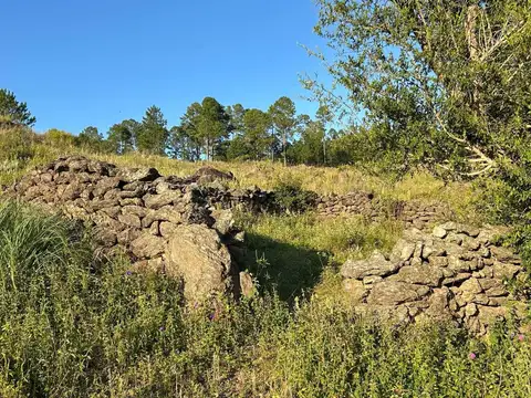 VENTA LOTE 1.13HA  SAN MIGUEL DE LOS RIOS YACANTO