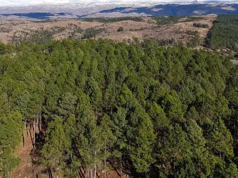 Terreno en Venta en Yacanto Calamuchita, USD 51.079