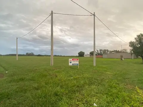 Doctor Santos P. Viani