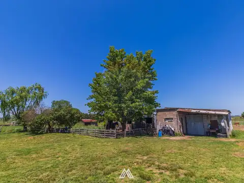 CHACRA EN VENTA - 11,5 HAS CON RENTA - SAN JACINTO