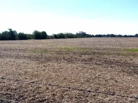 Campo en Venta de 8  ha